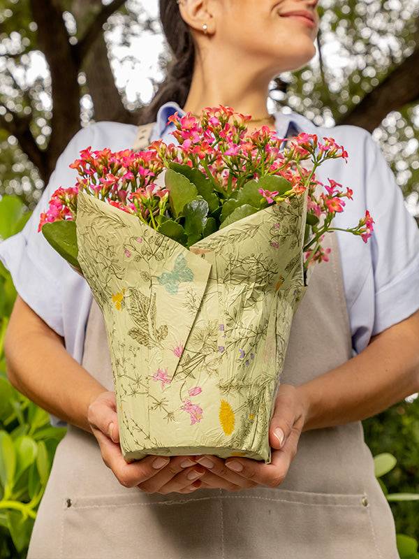 Botanical Kraft Pot Cover - Image 5
