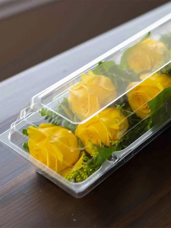 Dozen Rose Box 25" x 5" x 4" - Image 2