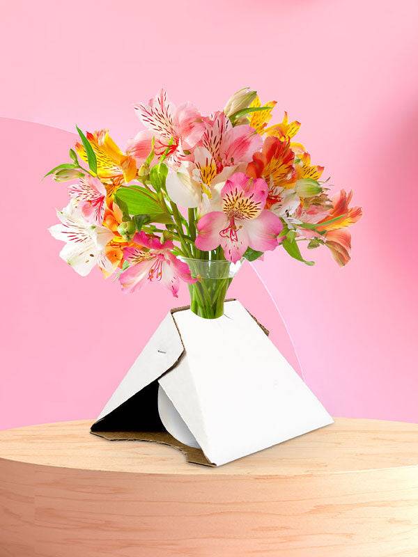 Jetwrap Staple Vase Box #503S - Image 6