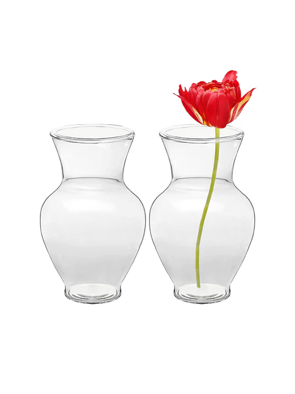 Mini Clear Glass Vase Duo – 5" Tall Classic Bud Vases (Set of 2)