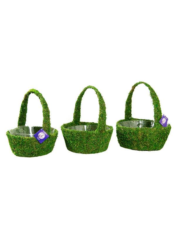 Super Moss Deco Basket Arroyo Set (Set of 3)