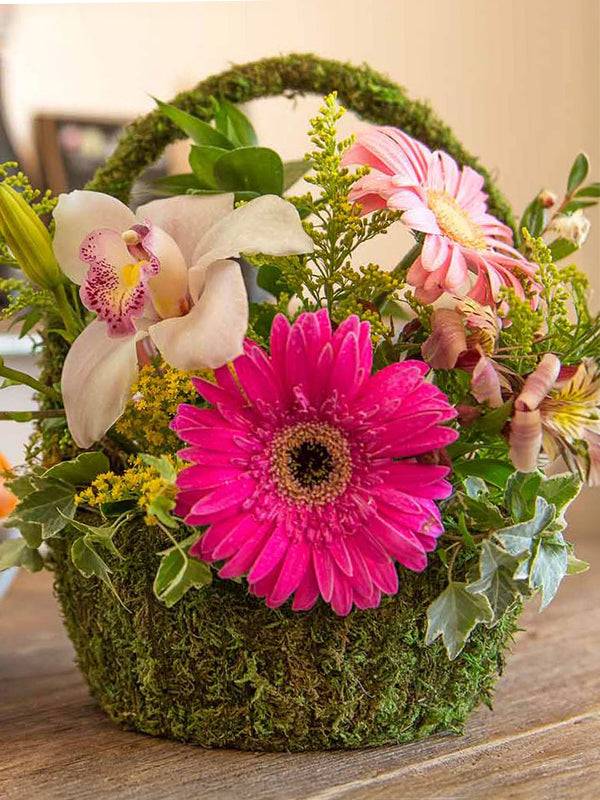 Super Moss Deco Basket Arroyo Set (Set of 3) - Image 3
