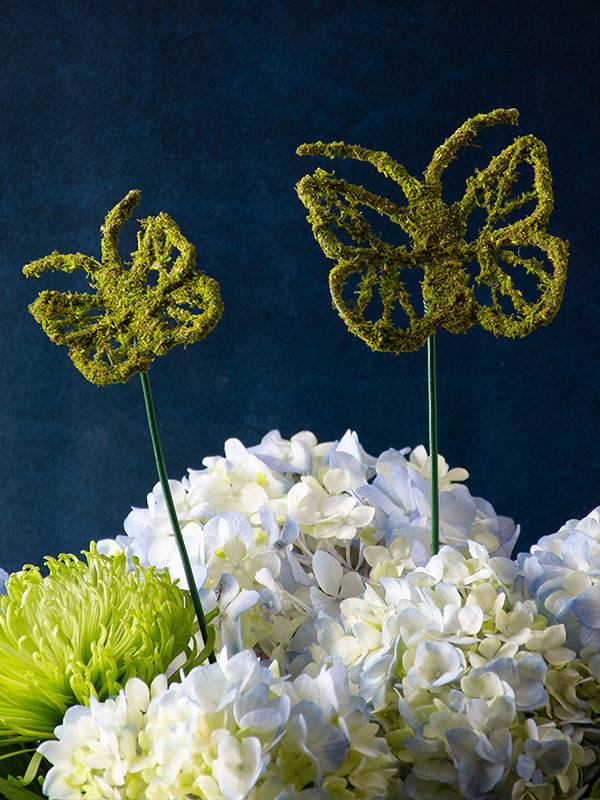 Super Moss Monarch Moss Pick – Small (1 Pick) - Image 4