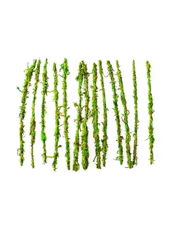 Super Moss Preserved Moss Floral Plant Ties – 5in (12-Pack) - Image 2