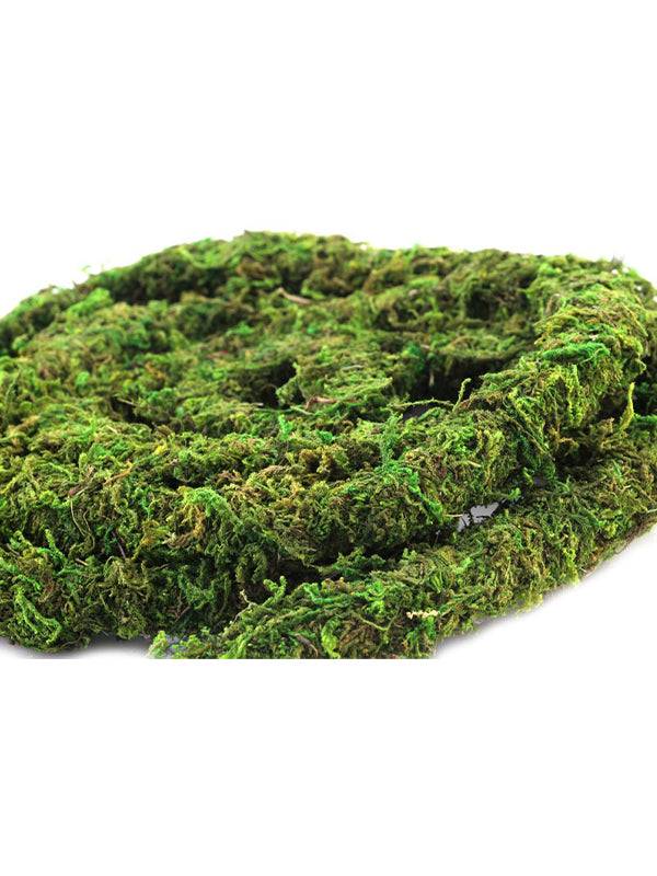 Super Moss Preserved Moss Vine – 6 ft - Image 3