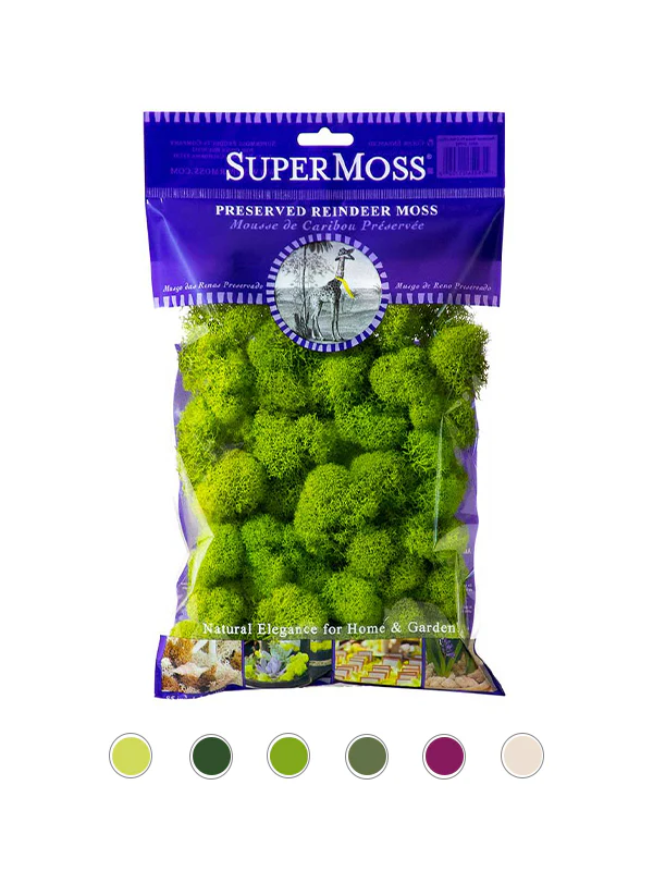 Super Moss Reindeer Moss Retail Bags (120 cu in Bag) - Image 4