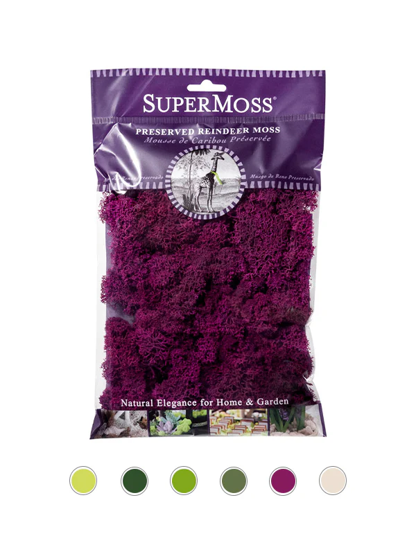 Super Moss Reindeer Moss Retail Bags (120 cu in Bag) - Image 5